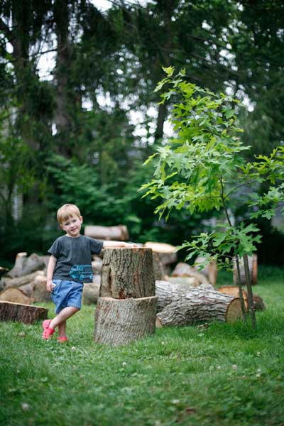 Emmett's Tree 6/28/08